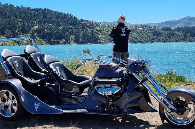Private Cruise Ship Passengers Tour, Sightseeing in Christchurch - Why this Christchurch shore excursion feels different