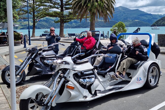 Private Cruise Ship Passengers Tour, Sightseeing in Christchurch - Returning to Lyttelton over the Port Hills