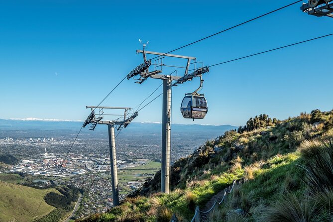 Private Cruise Ship Passengers Tour, Sightseeing in Christchurch - Weather, comfort, and practical planning