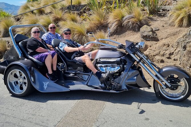 Private Cruise Ship Passengers Tour, Sightseeing in Christchurch - The optional Christchurch Gondola stop