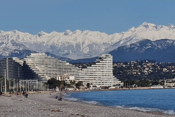Private Customized French Riviera Tour from Port of Cannes 8H - Monaco: palace, cathedral, and Monte Carlo