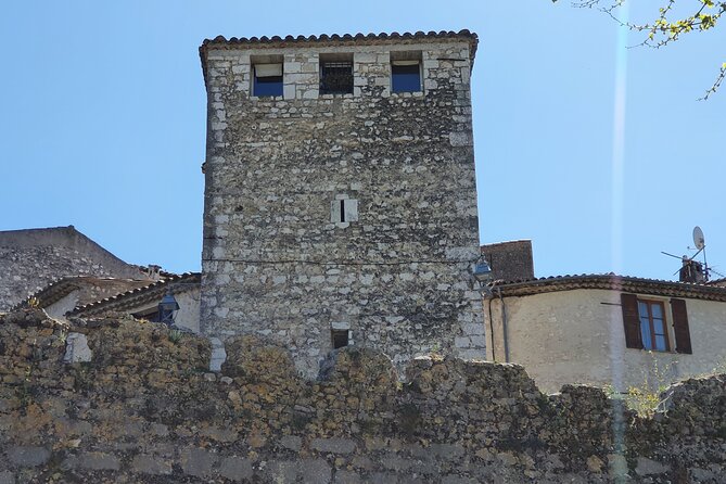 Private Customized French Riviera Tour from Port of Cannes 8H - Timing, cruise ships, and traffic