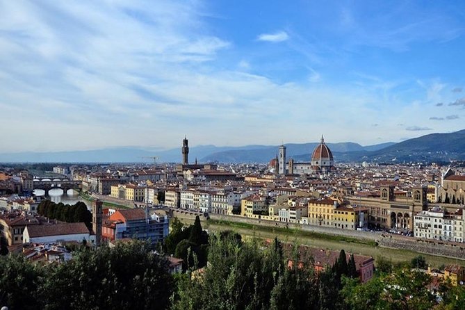Private Day Trip from Livorno port to Florence and Pisa - Final call: a good fit with one major warning