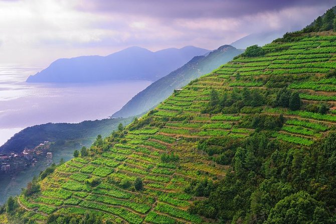 Private EASY Cinque Terre & Pisa Accessible Tour from Livorno - Driver-led rather than fully guided