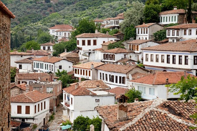 Private Ephesus & Sirince Village Tour from Kusadasi/Ephesus Port - The private format and guide quality