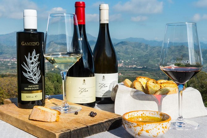 Private Etna tour from Messina Cruise Terminal+ Lunch at Winery - Why this private Etna day works from Messina