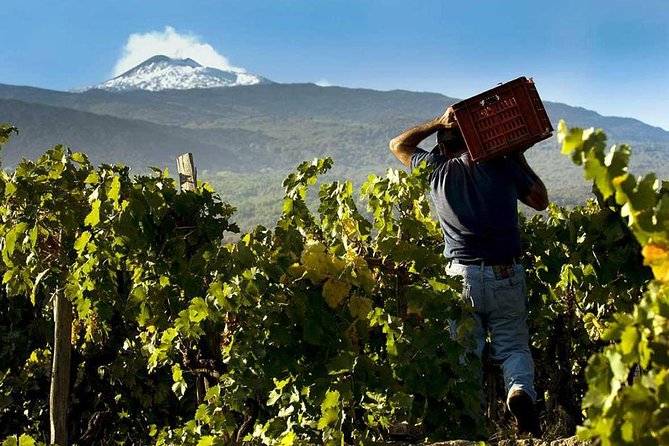 Private Etna tour from Messina Cruise Terminal+ Lunch at Winery - Walking among Etna’s extinct craters at 2,000 meters