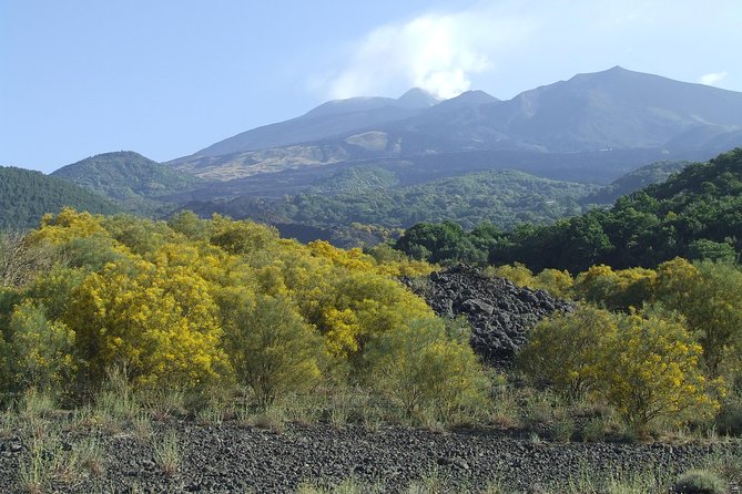 Private Etna tour from Messina Cruise Terminal+ Lunch at Winery - Who should book this Etna tour?
