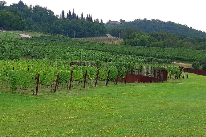 PRIVATE EXCURSION: Volterra & San Gimignano + wine tastings (from Livorno Port) - Lunch at Podere La Marronaia, Le Colonne