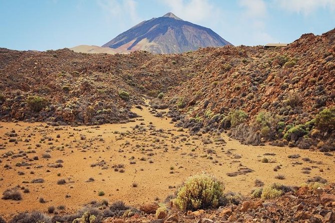 Private Excursions For Cruise Ship Passengers - El Portillo Visitor Centre and the story of Teide