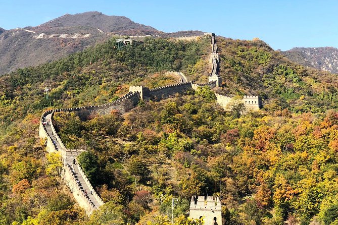 Private Great Wall Tour from Tianjin Cruise Port - The Optional Toboggan Ride and What It Adds