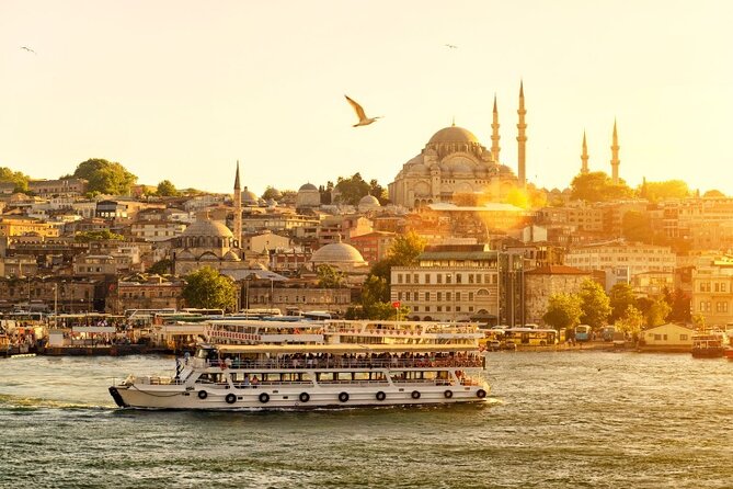 Private Guided Tour Istanbul from Cruise Ship or Hotel - Bosphorus, Dolmabahçe, and Galata Tower: quick city snapshots