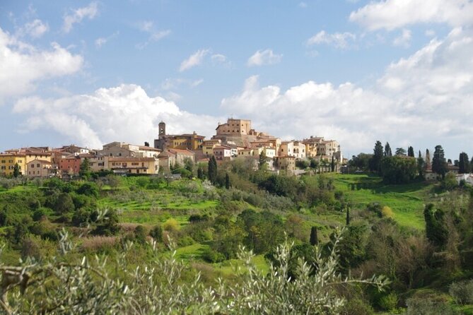 Private Guided Tour to Pisa and local Wine Farm from Livorno port - Meeting your guide at Livorno port
