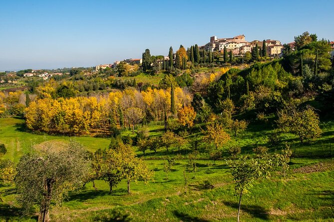 Private Guided Tour to Pisa and local Wine Farm from Livorno port - Who should book this experience