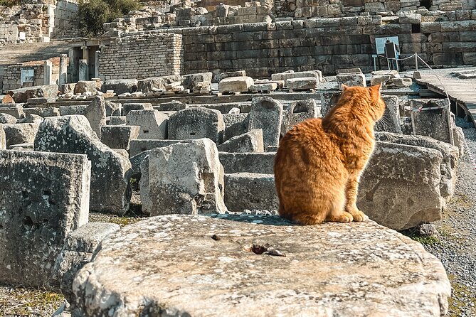 Private Half Day Ephesus Shore Excursion from Kusadasi - A private vehicle changes the port-day equation