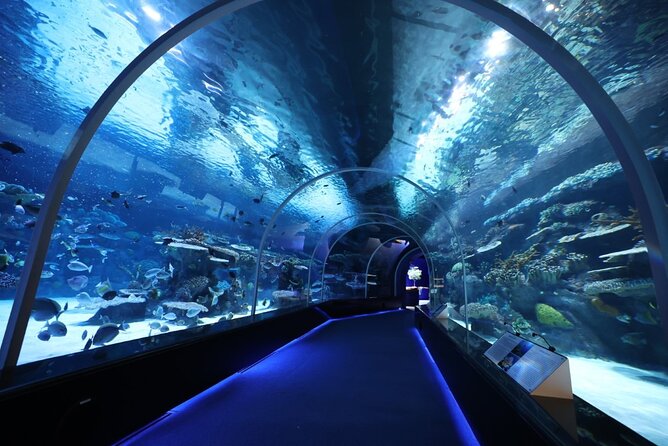 Private Hamad Port Tour in Mesaieed |Aquarium |Maritime Museum - Key points to know before booking