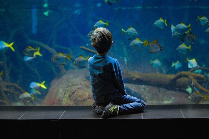 Private Hamad Port Tour in Mesaieed |Aquarium |Maritime Museum - A port visit with more than cranes and cargo