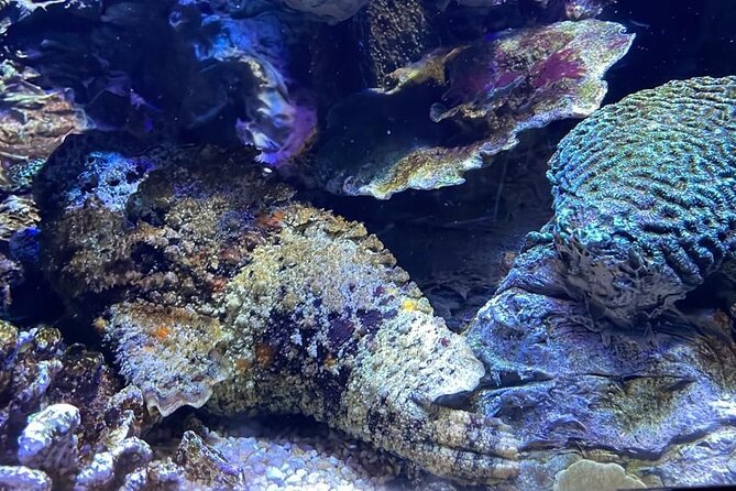 Private Hamad Port Tour in Mesaieed |Aquarium |Maritime Museum - A 4D cinema that moves and shakes