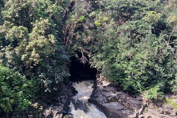 Private Hilo Shore Excursion Volcano National Park up to 10 - Crater views, steam vents, and Hawaiian mythology