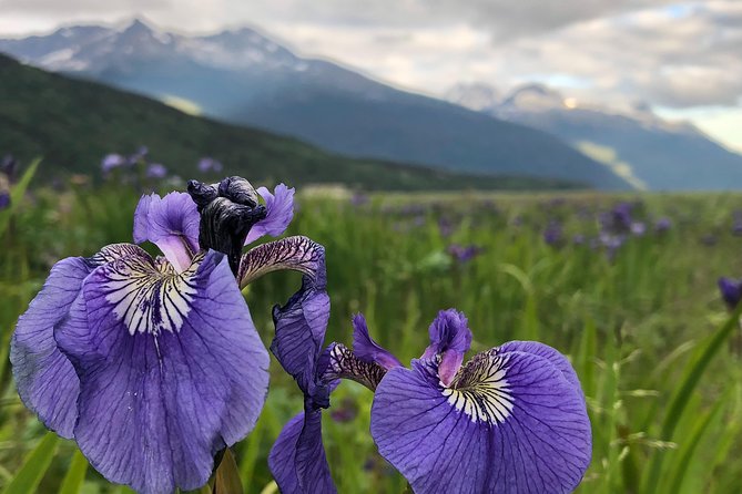 Private luxury shore excursion Skagway, AK to Emerald Lake, Yukon. - Carcross brings the trip back to people