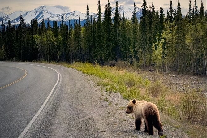 Private luxury shore excursion Skagway, AK to Emerald Lake, Yukon. - Who should pay for this excursion