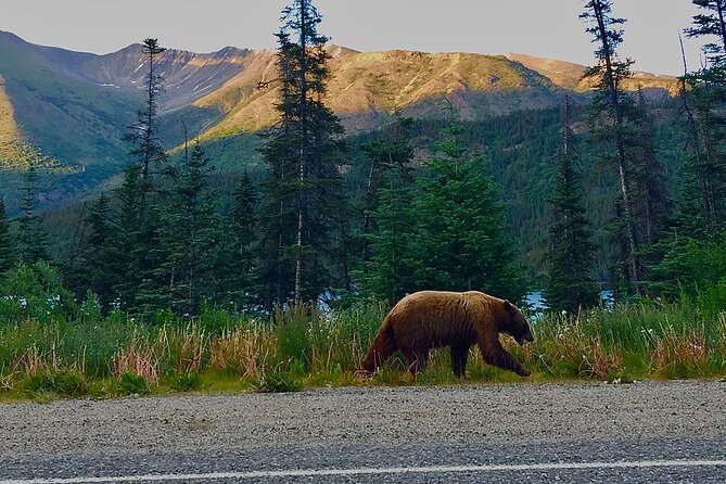 Private luxury shore excursion Skagway, AK to Emerald Lake, Yukon. - Should you book the Skagway to Emerald Lake tour?