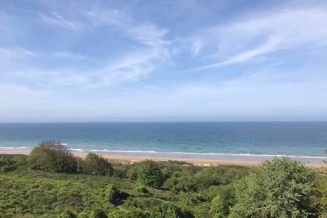 Private Normandy DDAY Tour from Cruise Port Le Havre or Honfleur - Omaha Beach: understanding the scale of the losses
