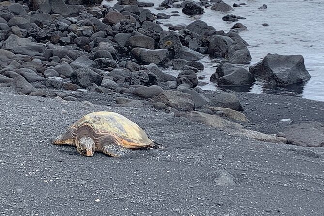 PRIVATE Shore Excursion - 'Best of Hilo and Hamakua coast - A private way to see Hilo your way