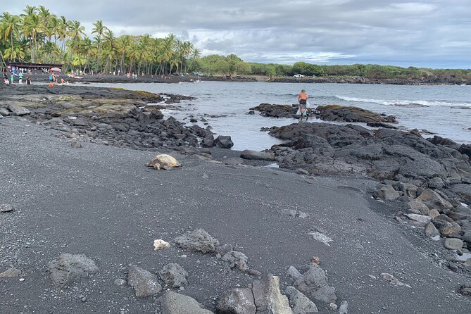 PRIVATE Shore Excursion - 'Best of Hilo and Hamakua coast - Onomea Bay and the tropical coast