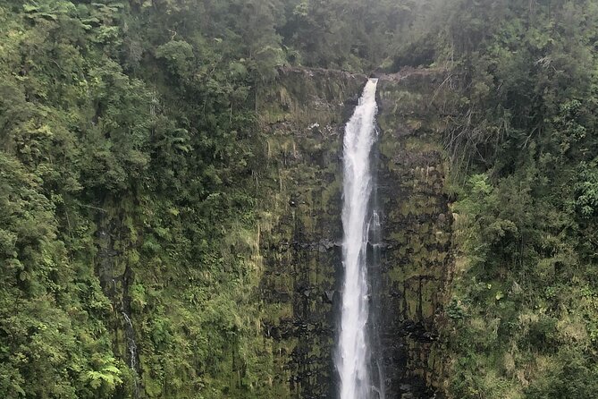 PRIVATE Shore Excursion - 'Best of Hilo and Hamakua coast - Akaka Falls and the half-mile loop