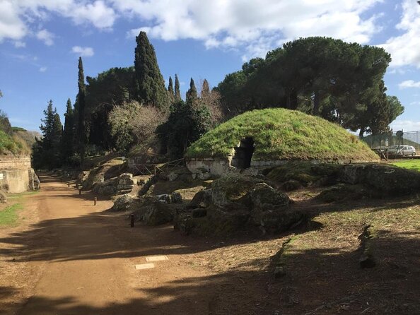 Private Shore Excursion from Civitavecchia Port to Etruscan Countryside - Key Things to Know Before You Book