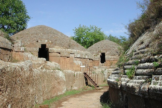 Private Shore Excursion from Civitavecchia Port to Etruscan Countryside - Practical Limits and Best Fit