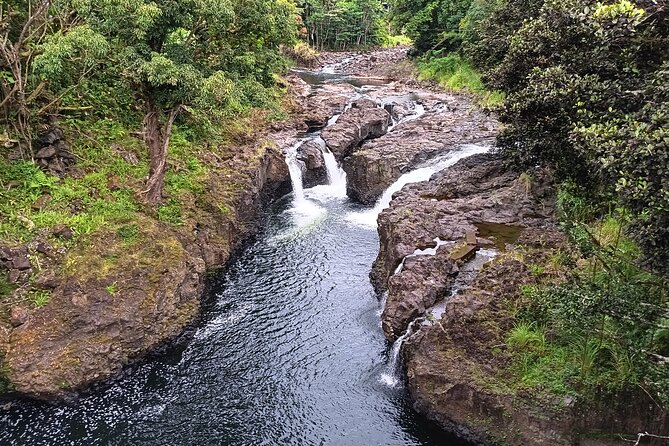 Private Shore Excursion Hilo Land of Frozen Fire up to 14 - Wild pigs and tropical fruit near Pahoa