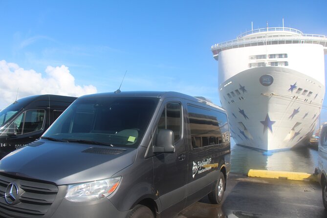 Private Shore Excursion Hilo Volcanoes National Park up to 10 PPL - Why this Hilo excursion works well in one day