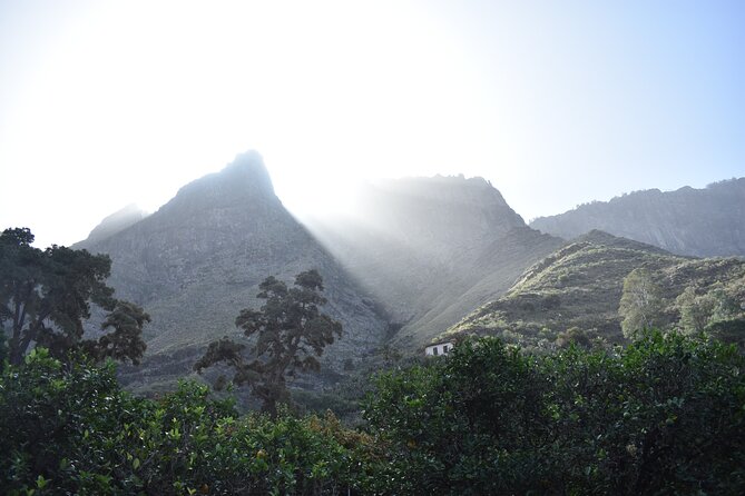 Private Shore Excursion in Gran Canaria - One private route, four sides of Gran Canaria