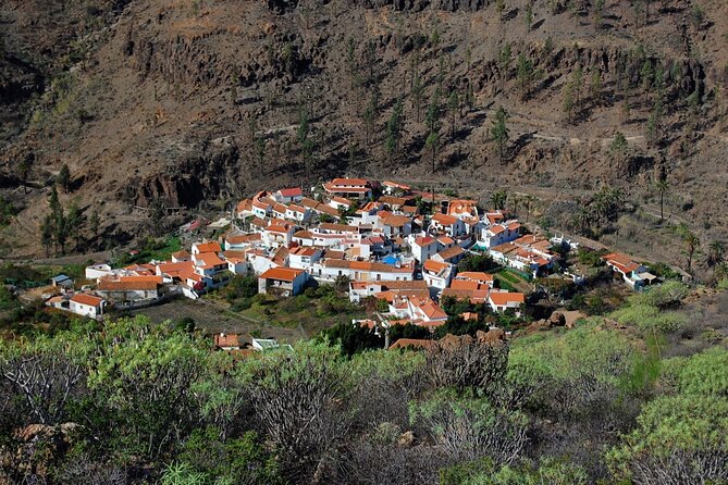 Private shore excursion in Gran Canaria the miniature continent - What makes this Gran Canaria tour worth considering