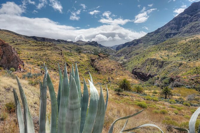 Private shore excursion in Gran Canaria the miniature continent - Lunch adds more than a quick fuel stop