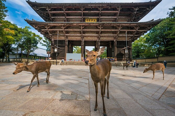Private Shore Excursion: Osaka&Nara Tour from Osaka/Kobe Port - Dotonbori for Osaka’s big personality