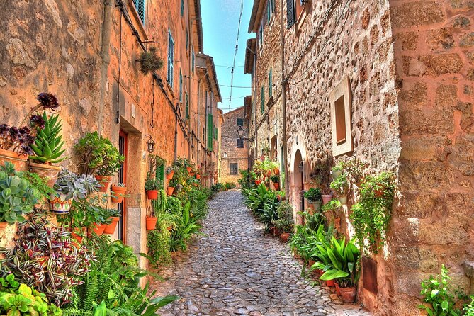 Private Shore Excursion to Valldemossa and Palma de Mallorca - Is $587.52 per person reasonable?