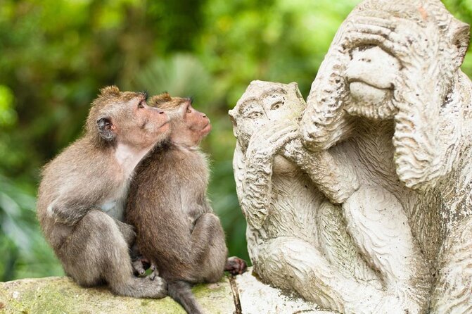 Private Shore Excursion: Ubud Art Villages and Sacred Monkey Forest - Key points to know before booking