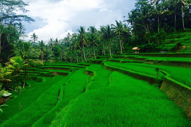 Private Shore Excursion: Ubud Art Villages and Sacred Monkey Forest - Mas and the art of woodcarving