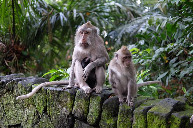 Private Shore Excursion: Ubud Art Villages and Sacred Monkey Forest - Ubud Art Market and bargaining for souvenirs
