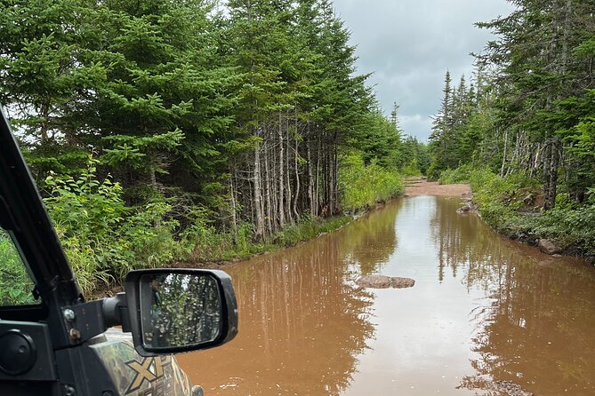 Private Shore Excursion UTV/ATV Side-by-Side Trail Tour - How the private format changes the experience