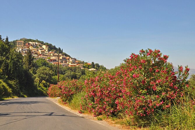 Private Shore Excursion Visit in Corfu with private driver. - Mon Repos Palace and a royal connection