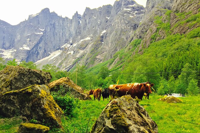 Private shore excursions Ålesund Trollstigen-Trollroad in small (1-4)groups - Stordal Church adds a human scale