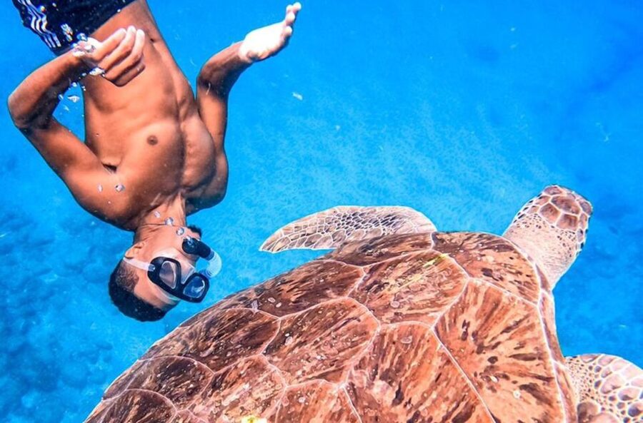 Private Snorkel Experience with Sea Turtle for Cruisers - Who should book this São Vicente excursion?