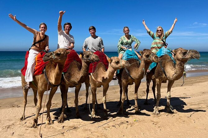 Private Tangier Tour from Ferry or Cruise Ship Including Lunch - Timing, walking, and port-day practicalities