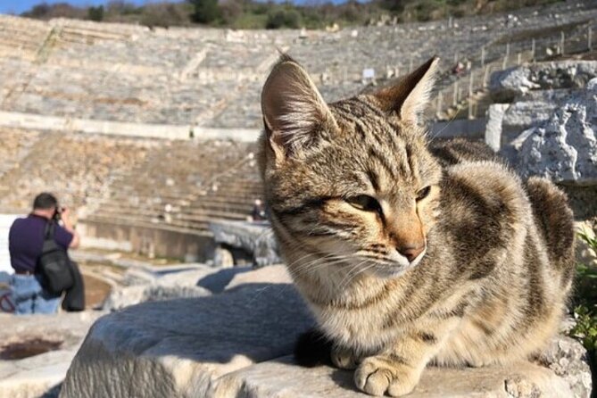 Private Tour : Biblical Ephesus Tour for Cruisers from Kusadasi ( Ephesus ) Port - How the private guide changes the day