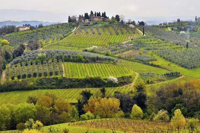 Private tour from Livorno port to Chianti Wine Region - San Gimignano: one hour in a medieval hill town
