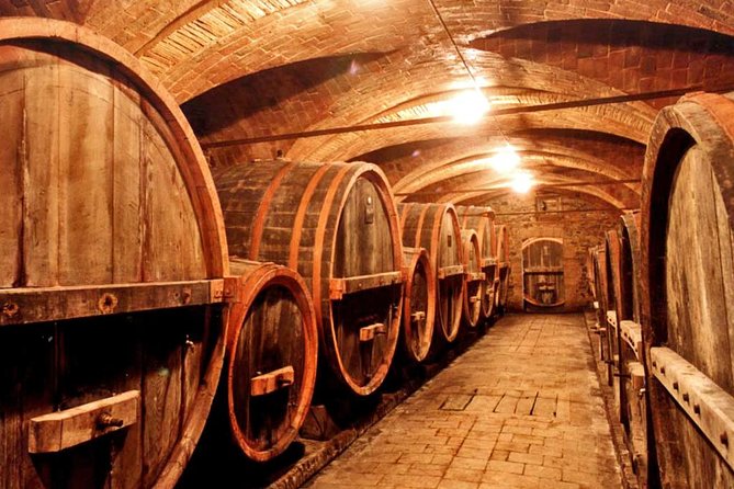Private tour from Livorno port to Chianti Wine Region - Why the private Mercedes makes a difference